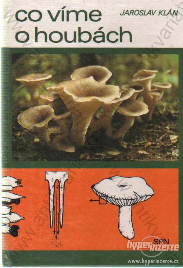 Co víme o houbách Jaroslav Klán 1989 - foto 1