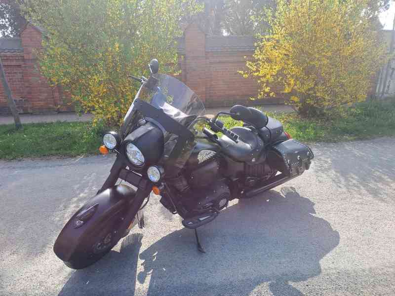 Indian Cieft Dark Horse - foto 5