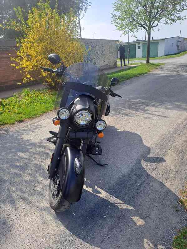 Indian Cieft Dark Horse - foto 12