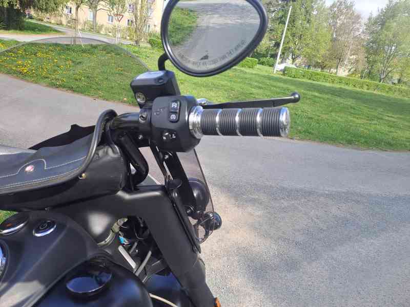 Indian Cieft Dark Horse - foto 10