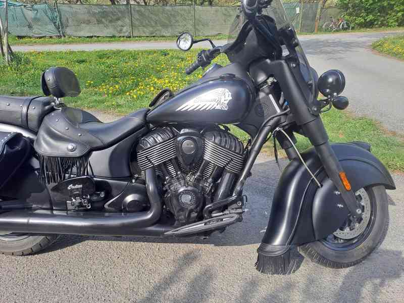 Indian Cieft Dark Horse - foto 11