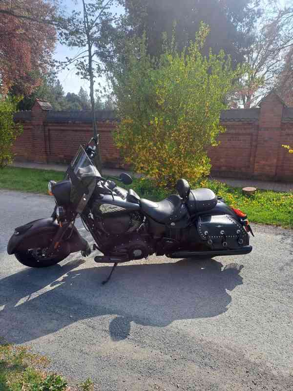 Indian Cieft Dark Horse - foto 2