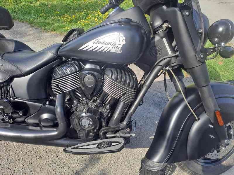 Indian Cieft Dark Horse - foto 8