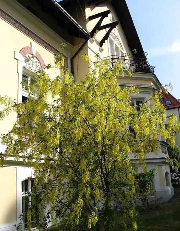 Pronájem bytu 2+kk 70 m² - foto 9