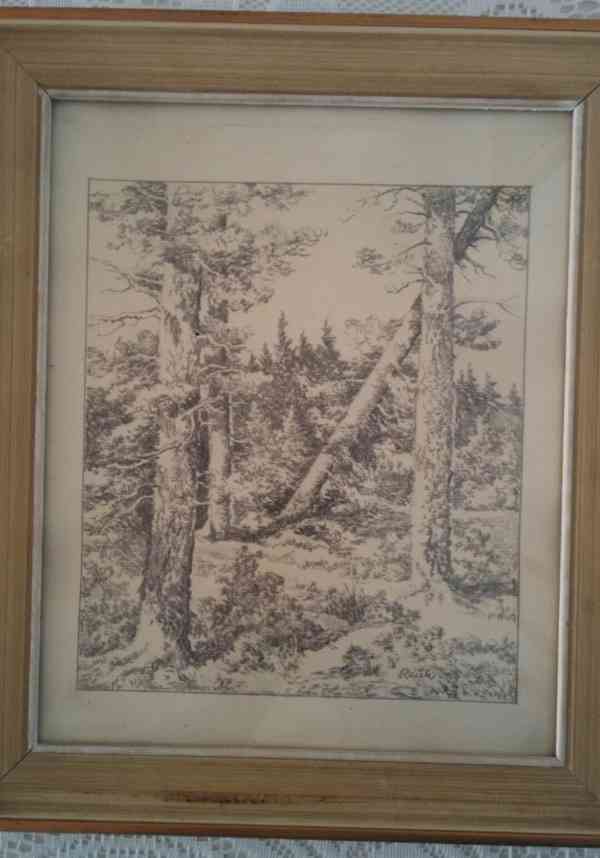 Originální obrazy J.Ráček - foto 10