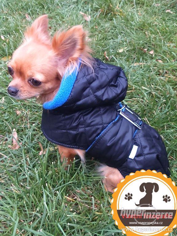 Zimní obleček, oblečky, bundy pro psa, psy - foto 1