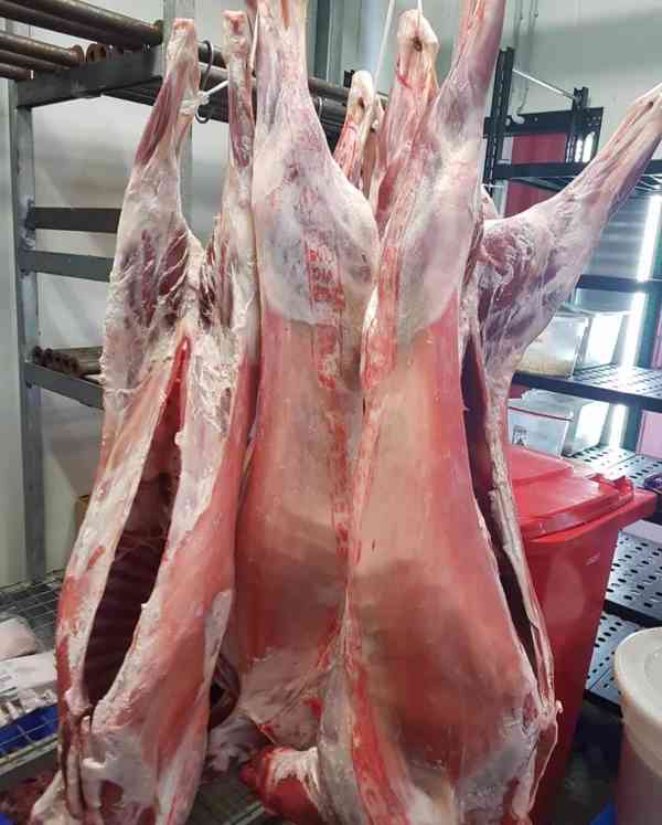 Zdravé hovězí maso Wagyu/Agnus je nyní k dispozici ke koupi - foto 2