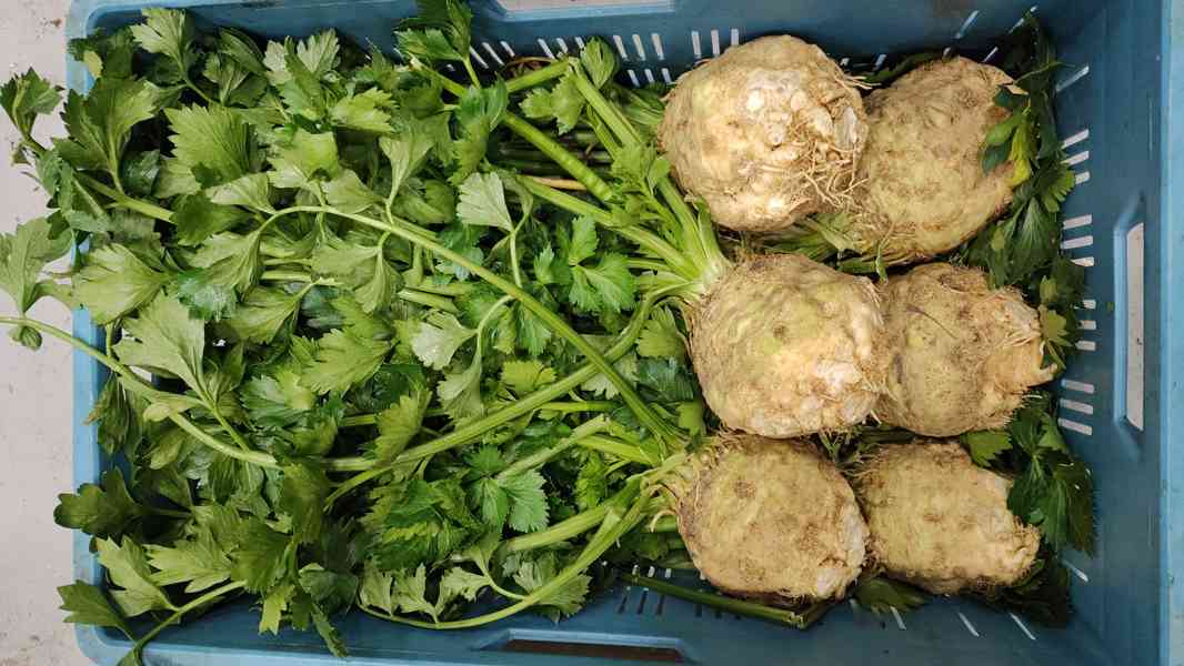 🌿 Farma24 – čerstvá zelenina přímo od farmářů 🌿 - foto 3