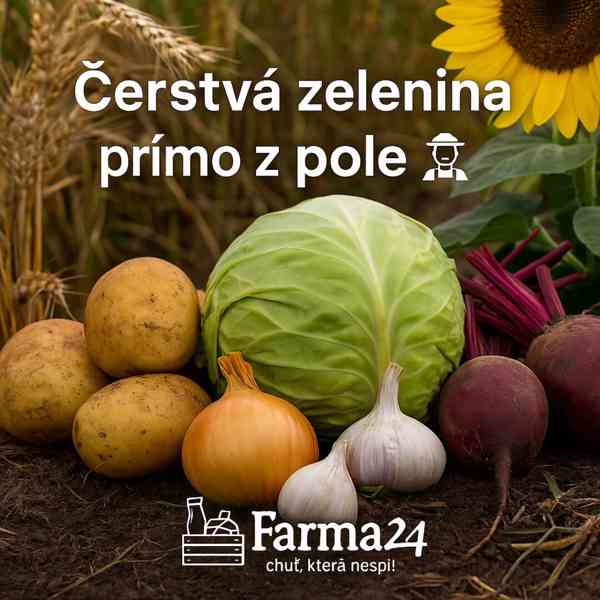 🌿 Farma24 – čerstvá zelenina přímo od farmářů 🌿 - foto 6