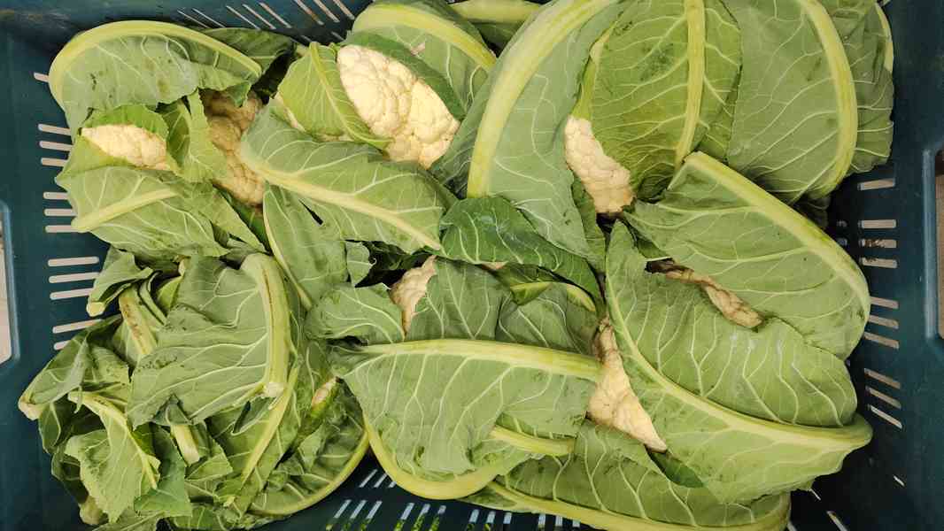 🌿 Farma24 – čerstvá zelenina přímo od farmářů 🌿 - foto 2