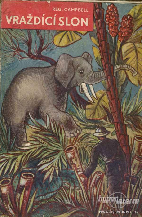 Vraždící slon - Reg. Campbell - foto 1