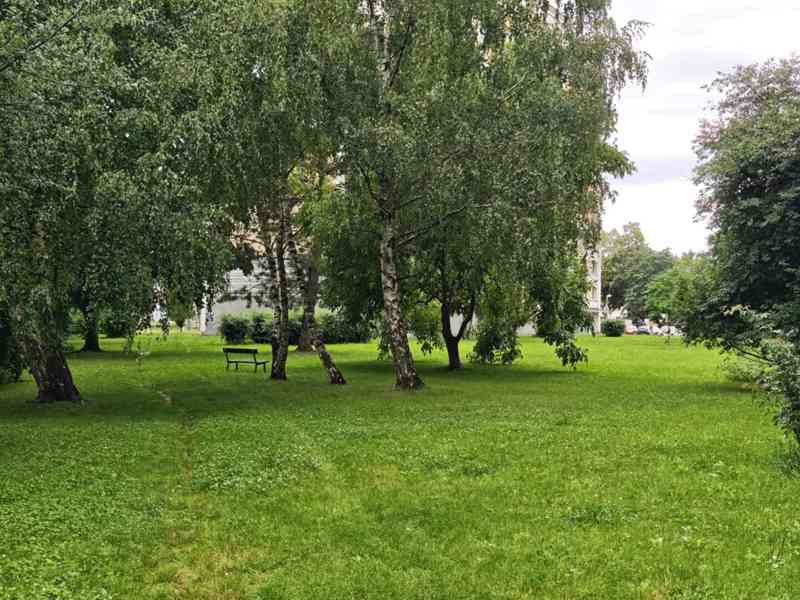 Pronájem bytu 1+1 38 m², Hradec Králové - Slezské Předměstí - foto 12