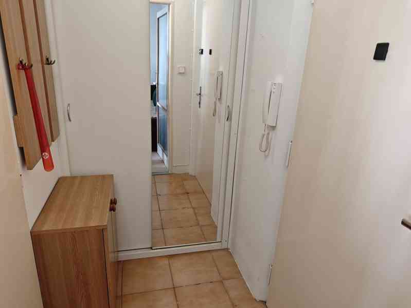 Pronájem bytu 1+1 38 m², Hradec Králové - Slezské Předměstí - foto 8