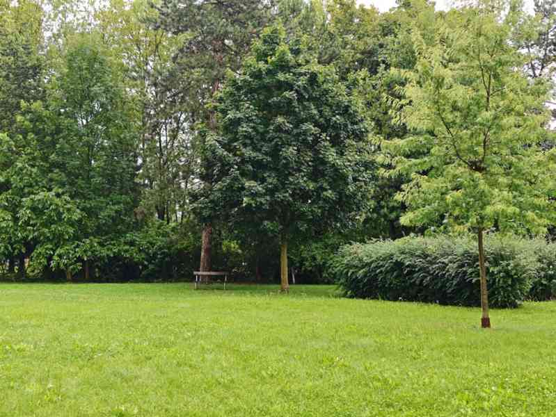 Pronájem bytu 1+1 38 m², Hradec Králové - Slezské Předměstí - foto 11