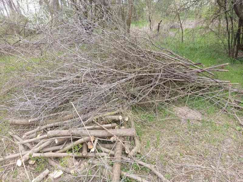 Štepkovač - pronájem - foto 2