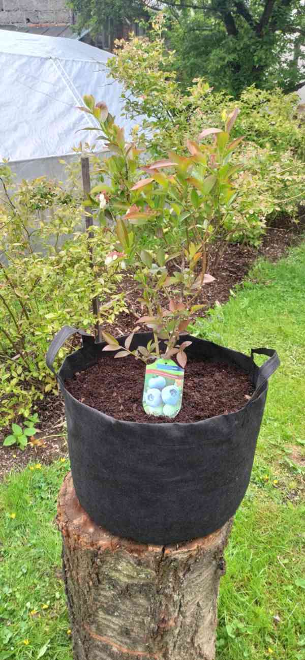 Moon River textilní květináč černý objem 17 l - foto 3