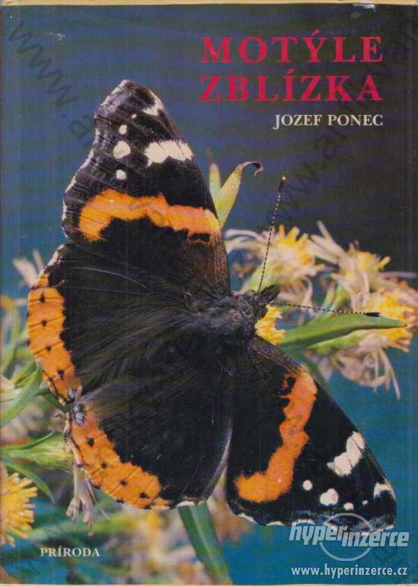 Motýle zblízka Jozef Ponec Príroda Bratislava 1979 - foto 1