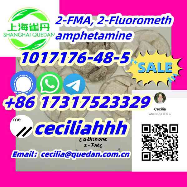 1017176-48-5  2-FMA, 2-Fluoromethamphetamine  - foto 1