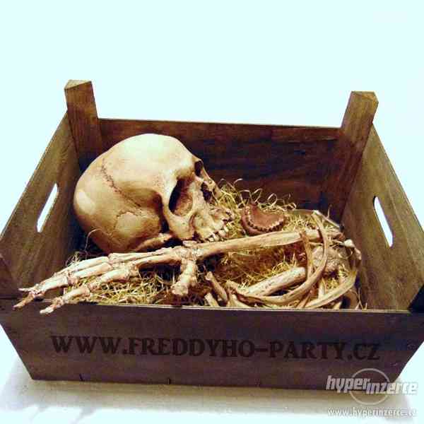 Replika lidské lebky a kostí - foto 1