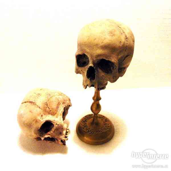 Replika lidské lebky a kostí - foto 3