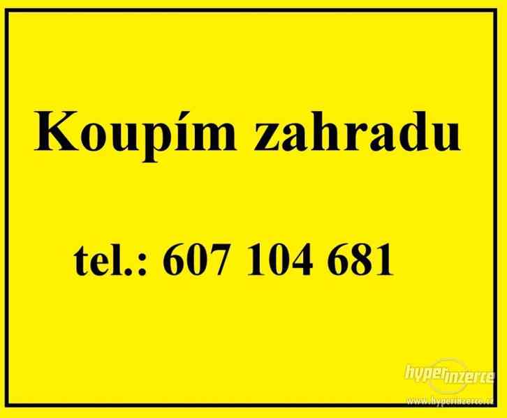 Koupím zahradu v zahrádkářské kolonii v Ostravě a okolí - foto 1