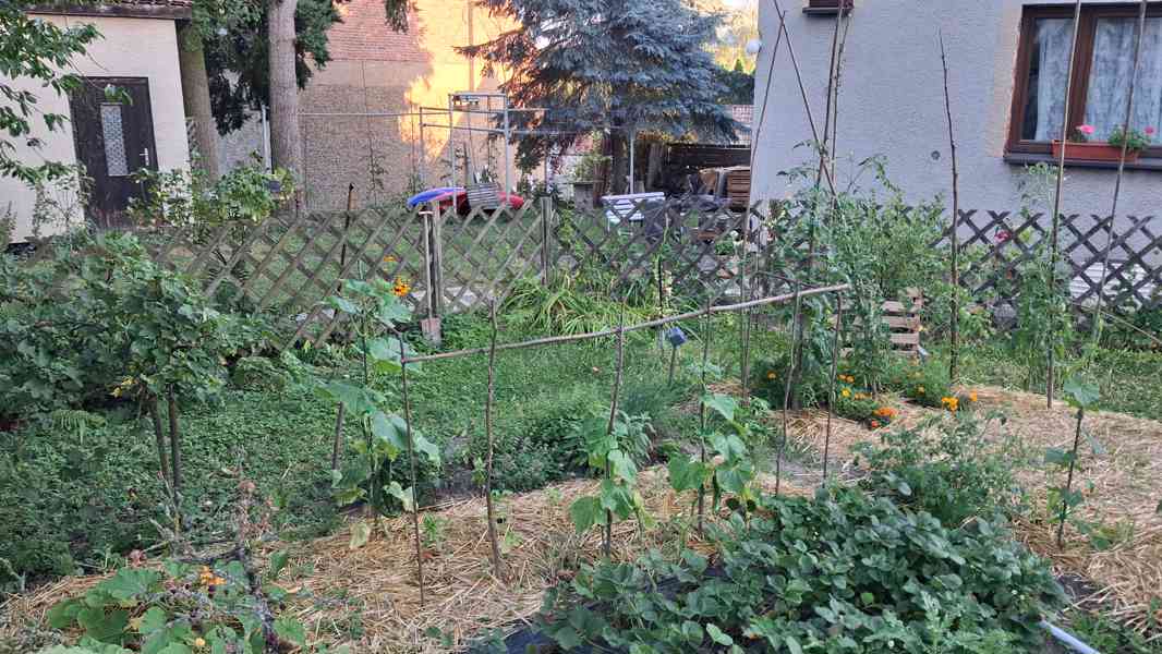 Pronájem přízemí rodinného domu 75 m² – Volduchy - foto 12
