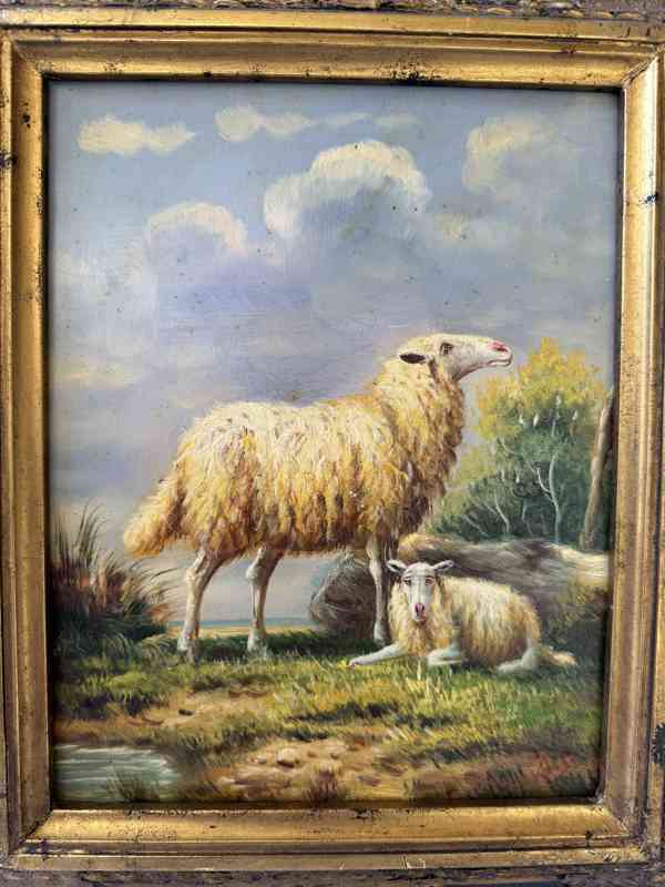 Ovečka jehňátko - obraz ve zlatém zdobeném rámu - foto 2