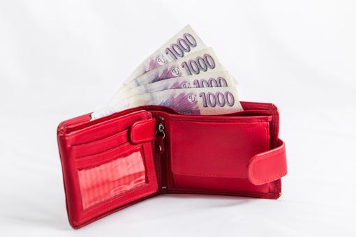 Bezpečné finanční řešení pro ženy – Soukromé zdroje - foto 10