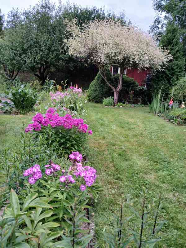 Realizace a údržba zahrady  - foto 2