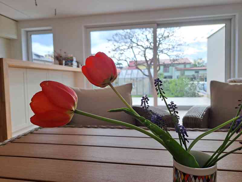 Pronájem rodinného domu 188 m², pozemek 400 m² Ústí nad Orl. - foto 4