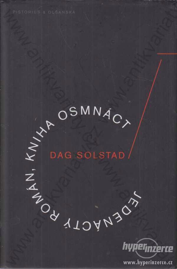 Jedenáctý román, kniha osmnáct Dag Solstad 2013 - foto 1