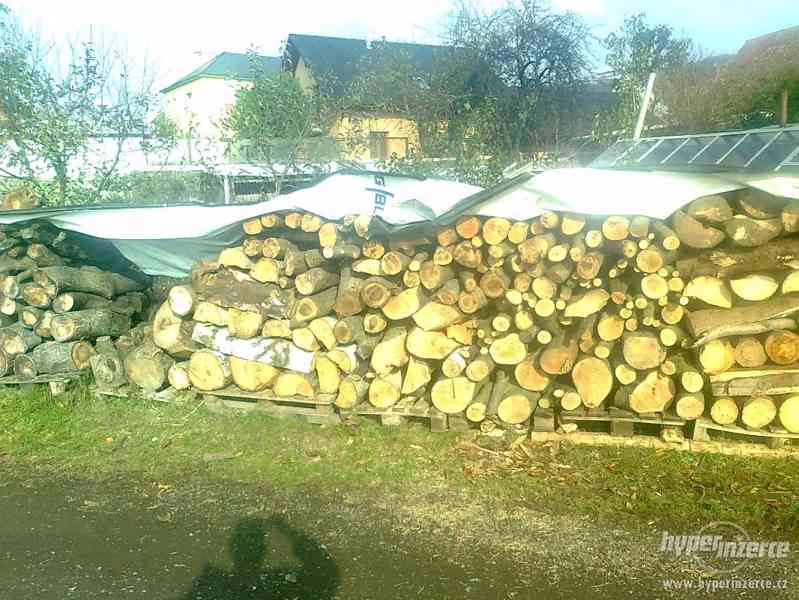 Dřevo na topení - foto 1