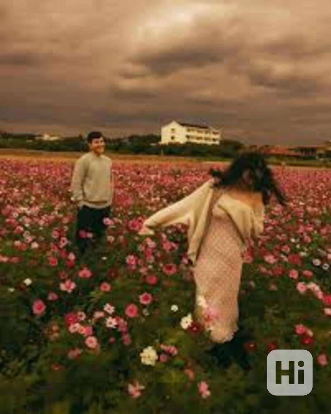 dsgtergfsdxv - foto 1