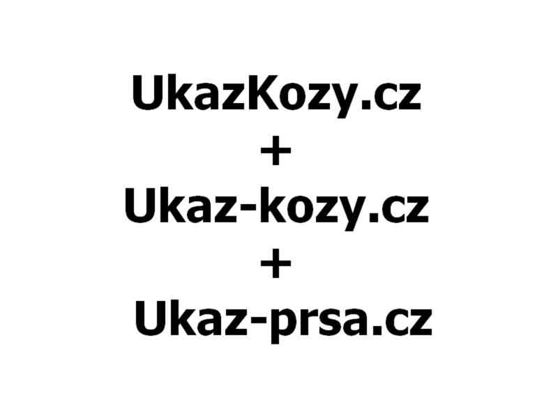 UkazKozy.cz + Ukaz-kozy.cz + Ukaz-prsa.cz  /domény na prodej - foto 1