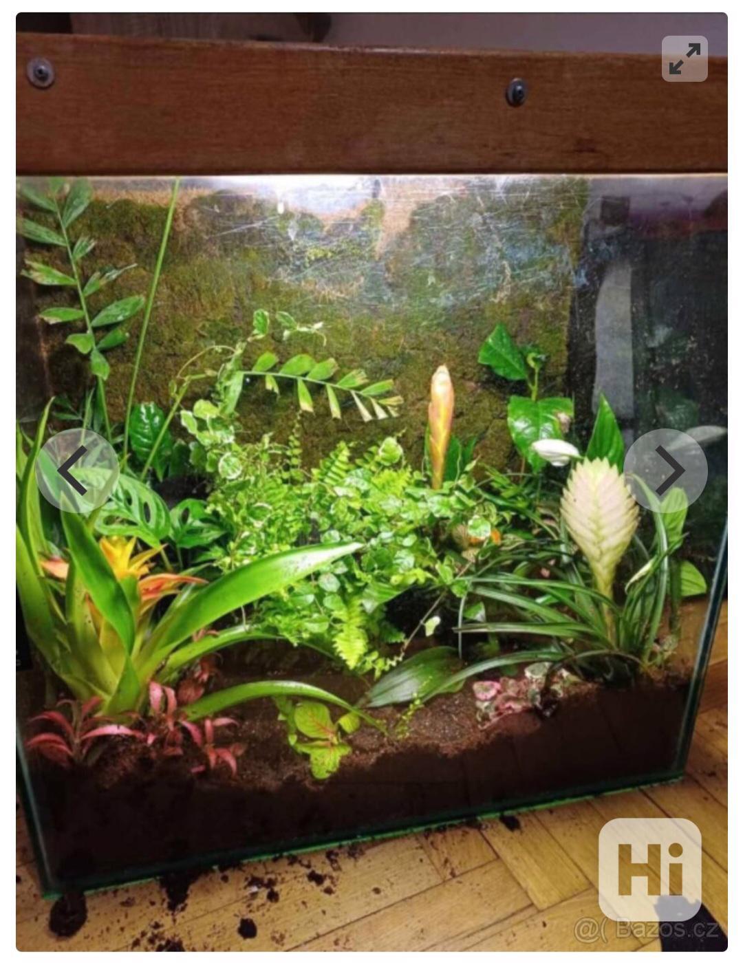 Akvarium/Florarium/Terarium - foto 1