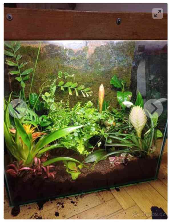 Akvarium/Florarium/Terarium