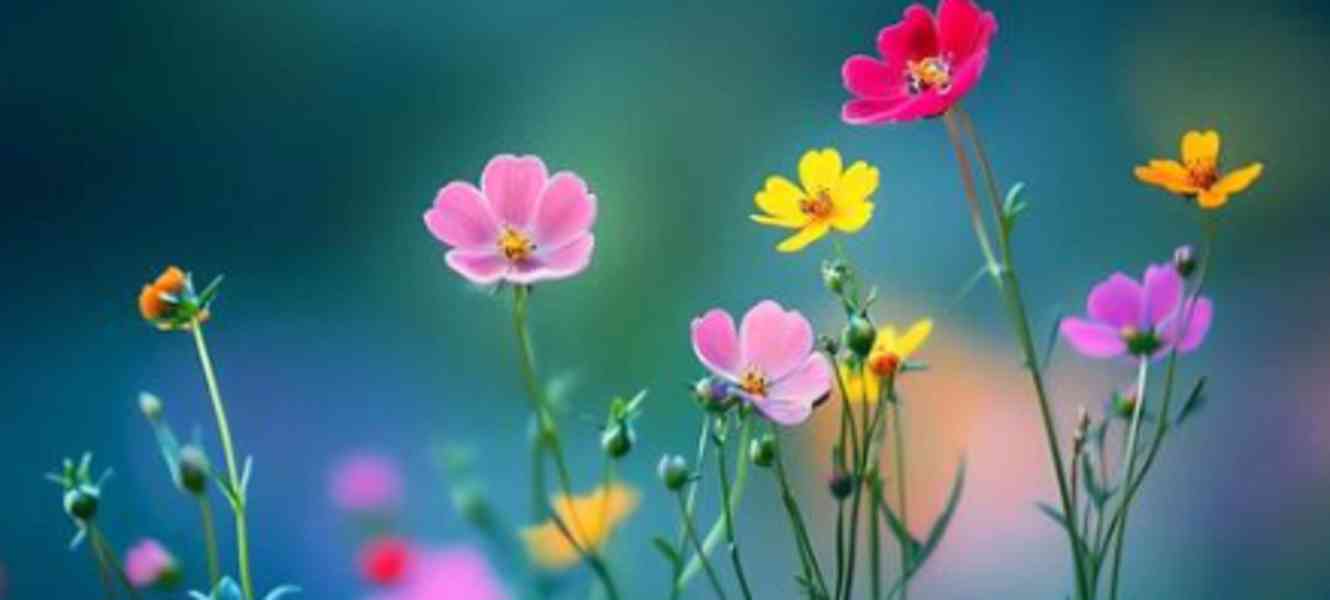 rtyyrtyryhrtyhrtyhrt - foto 2