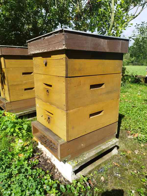 Prodám včelstva včetně úlů ¾ Langstroth. - foto 1