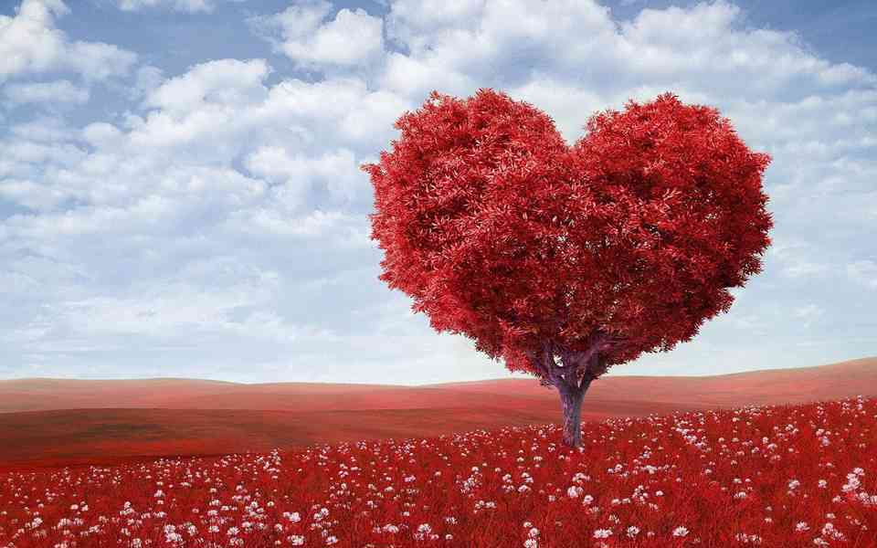 In South Africa,Namibia֍+27630699577 Bring back lost lover  - foto 5