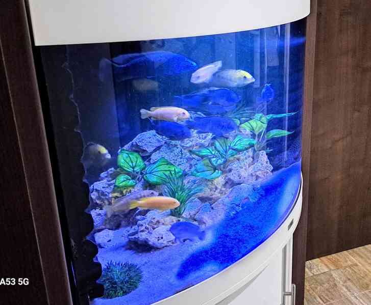 Akvarijní set Juwel Trigon LED 190 l  - foto 1