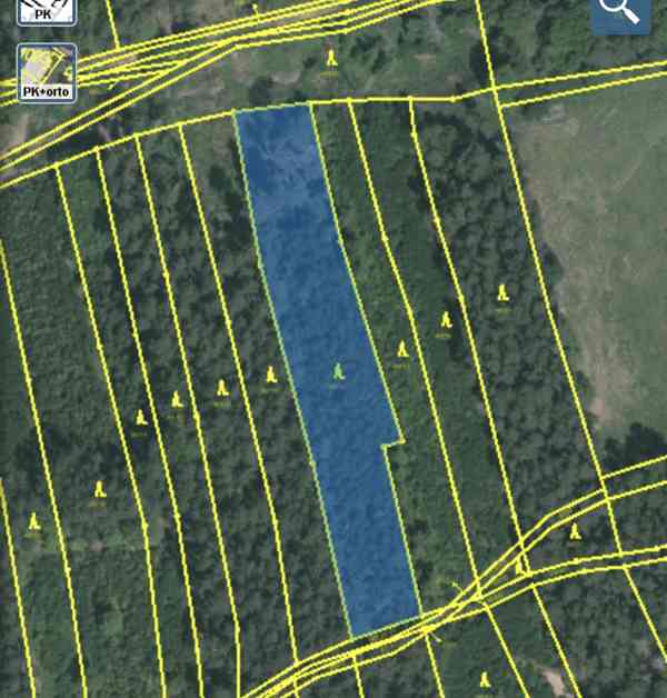 Lesní pozemek Lštění nad Zubřinou - foto 12