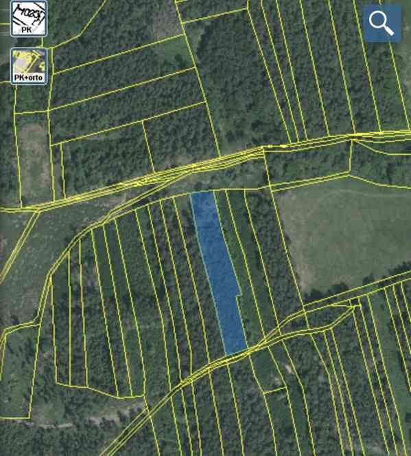 Lesní pozemek Lštění nad Zubřinou - foto 13