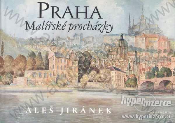 Praha Aleš Jiránek 2004 - foto 1