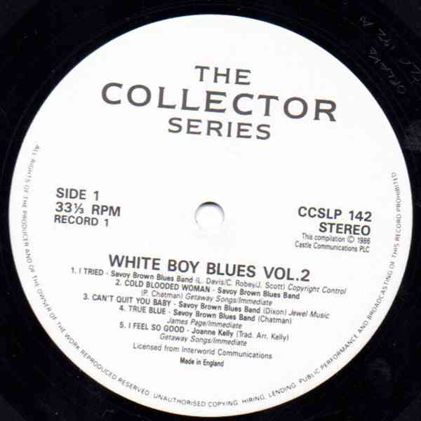 Various – White Boy Blues, Volume 2 (2x LP) - foto 4