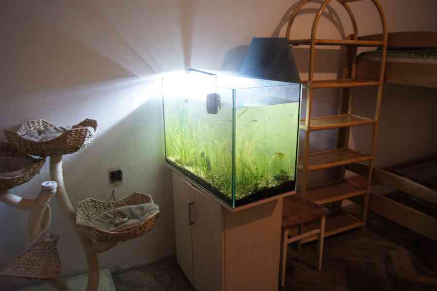  pěkné akvarium 200 l kompletní - foto 6