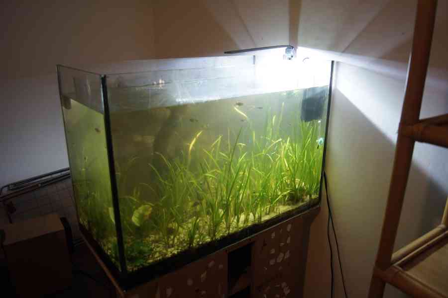  pěkné akvarium 200 l kompletní - foto 3