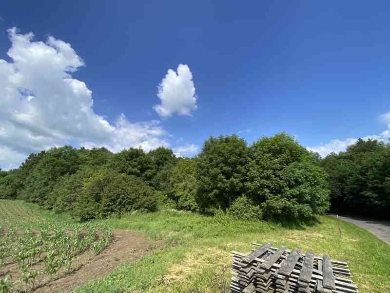 Pozemek ostatní plocha Švihov - foto 3