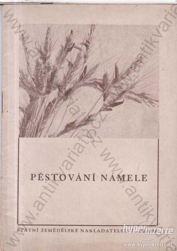 Pěstování námele kolektiv autorů 1953 - foto 1