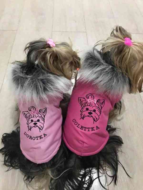 Prodám zavedenou firmu - výroba oblečků pro psy. - foto 3