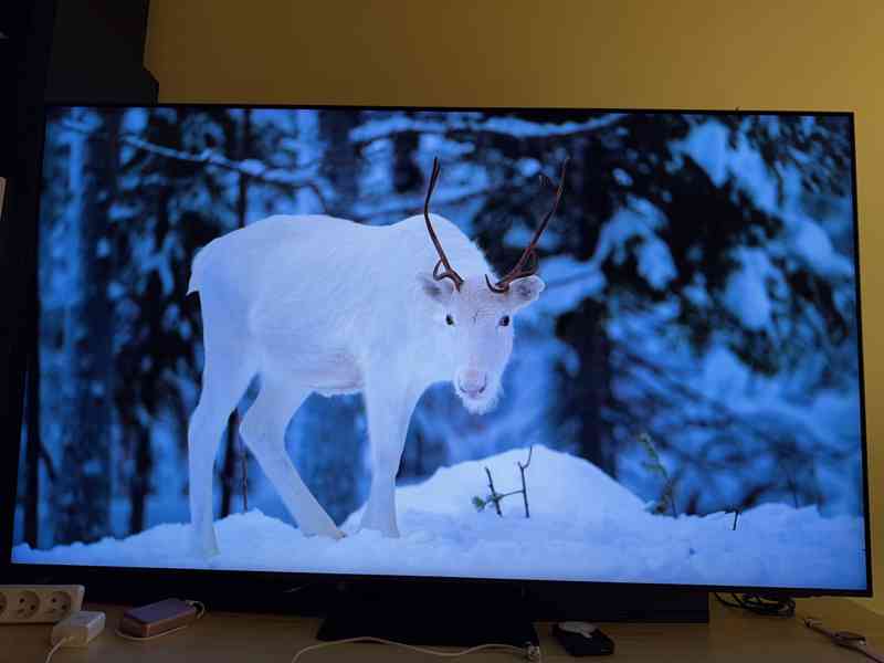 Prodám TV Samsung QE65QN90A - foto 2